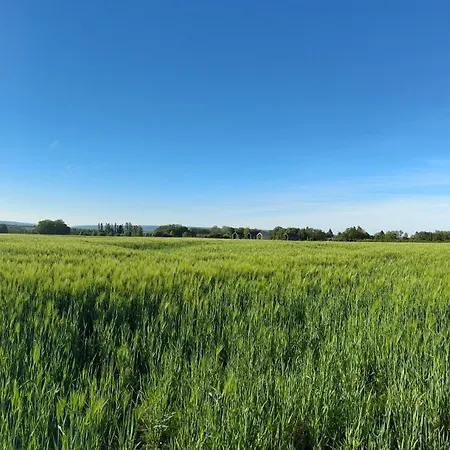 Insolite - Romantic Escape