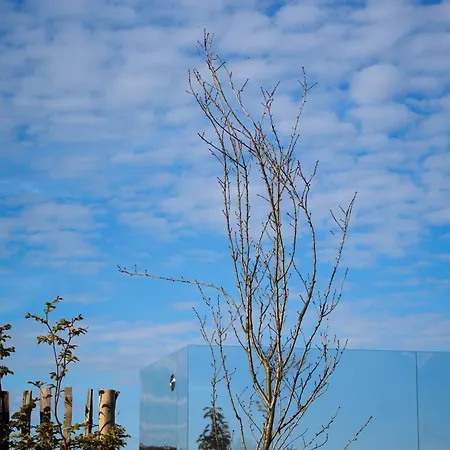 Insolite - Romantic Escape