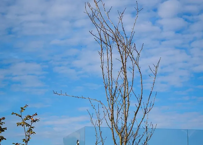 Insolite - Romantic Escape